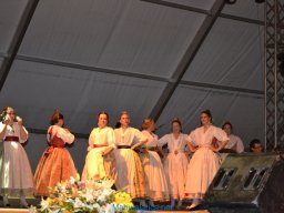 Festival de Folkore en Mula